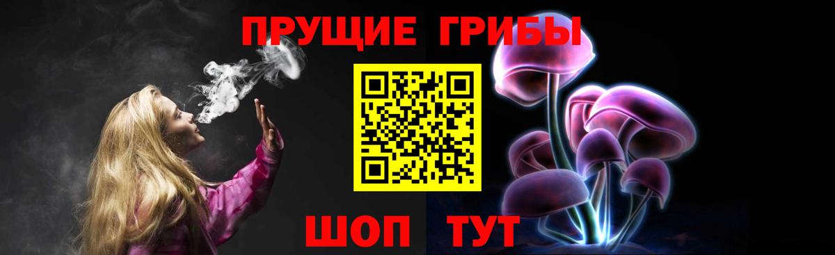 Галлюциногенные грибы Psilocybe Рославль
